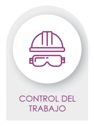 CONTROL DEL TRABAJO